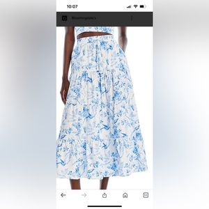 Aqua blue toile skirt